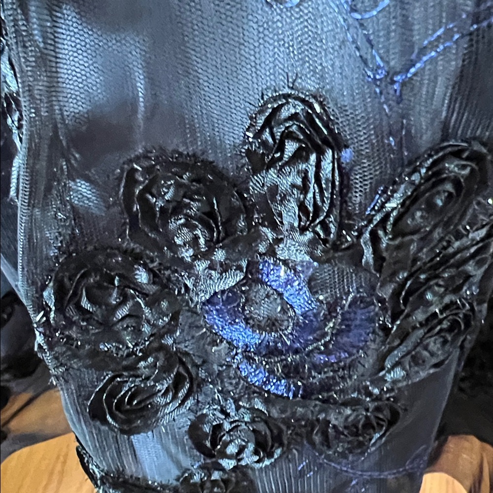 Elegant Black Mesh Long Sleeve Dress NWT - Picture 5 of 7